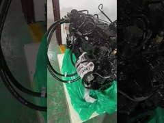 1998 Dodge cho Cummins 12 24 van 5.9 Cummins bộ sửa chữa động cơ